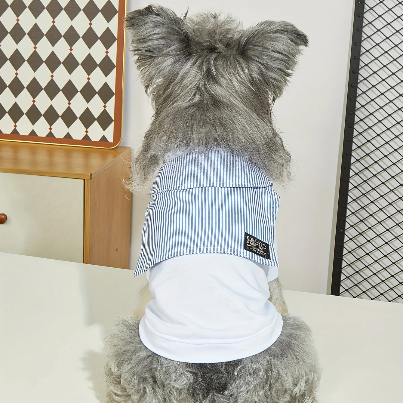 Thumbnail 4 - #14 Best Pet Apparels to Buy In 2026