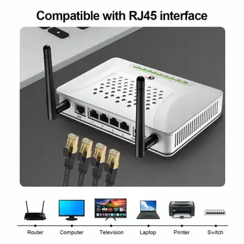 6 最佳銷售 7號貓 - №2