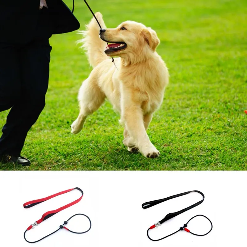Training Dog Choking Rope Leash 2 in 1 Lead Collar 150cm P-Shaped Chain Slip Lead Control Leash for Small Large Competition Dogs