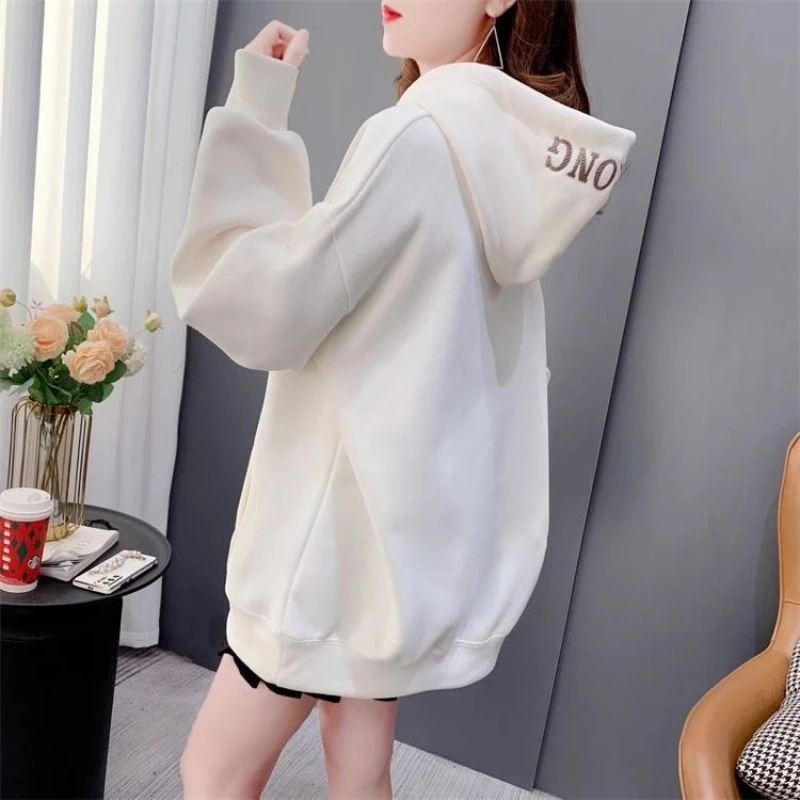 

Harajuku Fashion Loose Woman Hooded Tops Spring and Autumn Y2k Japanese Streetwear 90s Vintage Kpop Hoodies Sweatshirt for Women