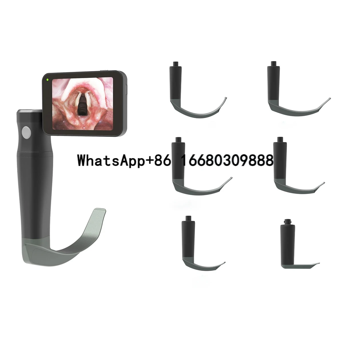 

Hot sale Portable Video Laryngoscope with reusable blades