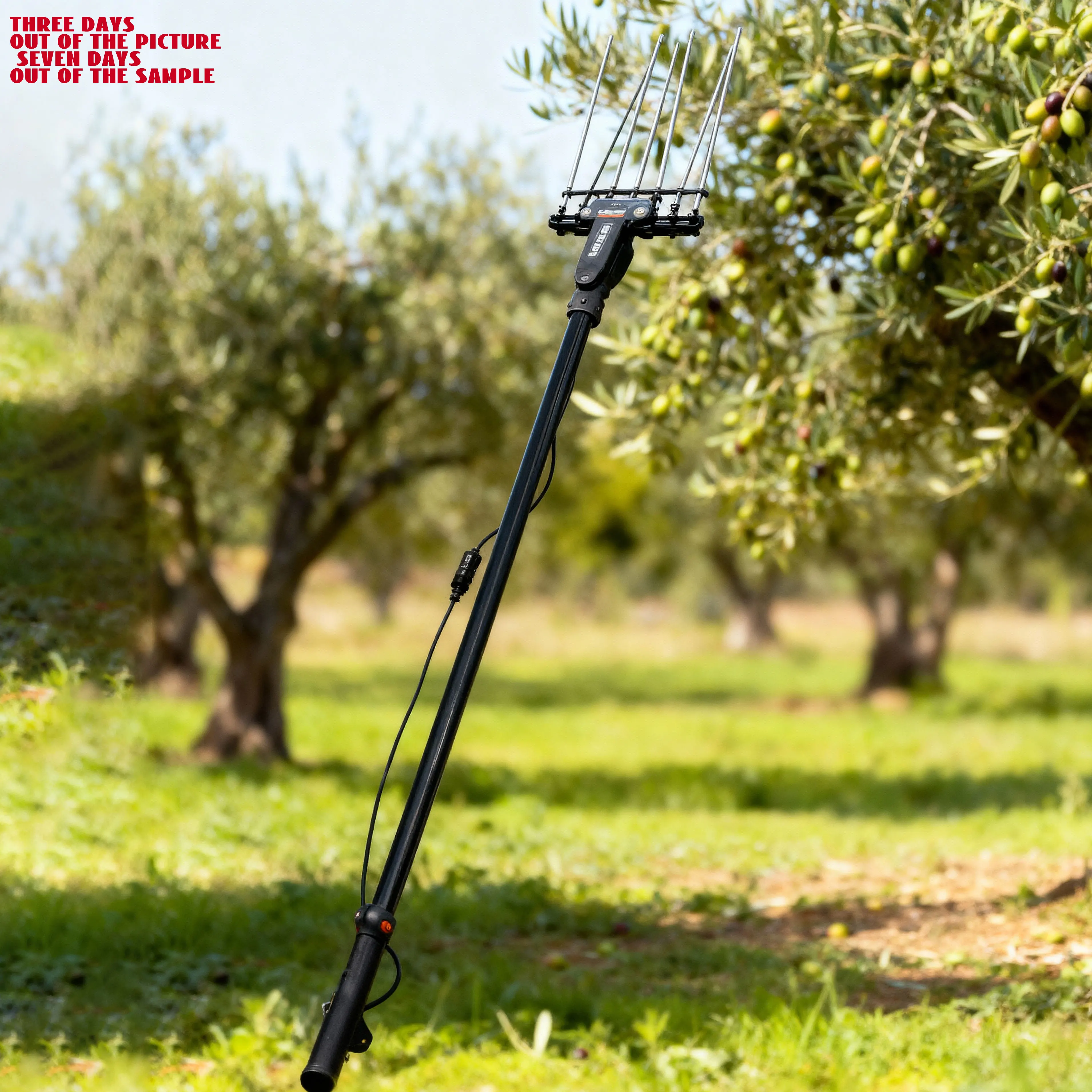 

Профессиональная электрическая машина для сбора оливок с эргономичной ручкой: простая в эксплуатации, долговечная, высокоскоростная, эффективная