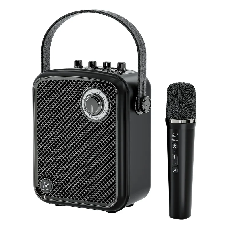 S100 wireless portable amplifier provides clear sound quality for musical instruments