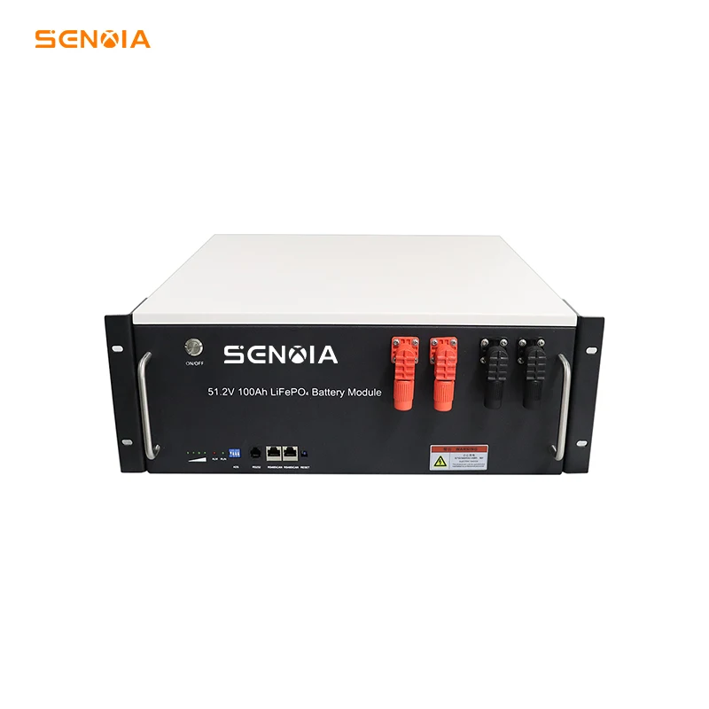Senxia 10kWh 30kWh 20kWh Rack-Mounted Low Voltage Solid State Lithium Battery Pack with 6000 Cycles for Home Solar System