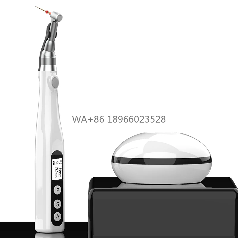 Dental Equipment Dental Products LED Wireless Endo Motor C-SMART-MINI(LED) Dental