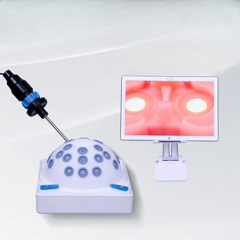 30-Degree Adjustable Focus Sports Medicine with Knee Arthroscopic Surgery Simulation Trainer
