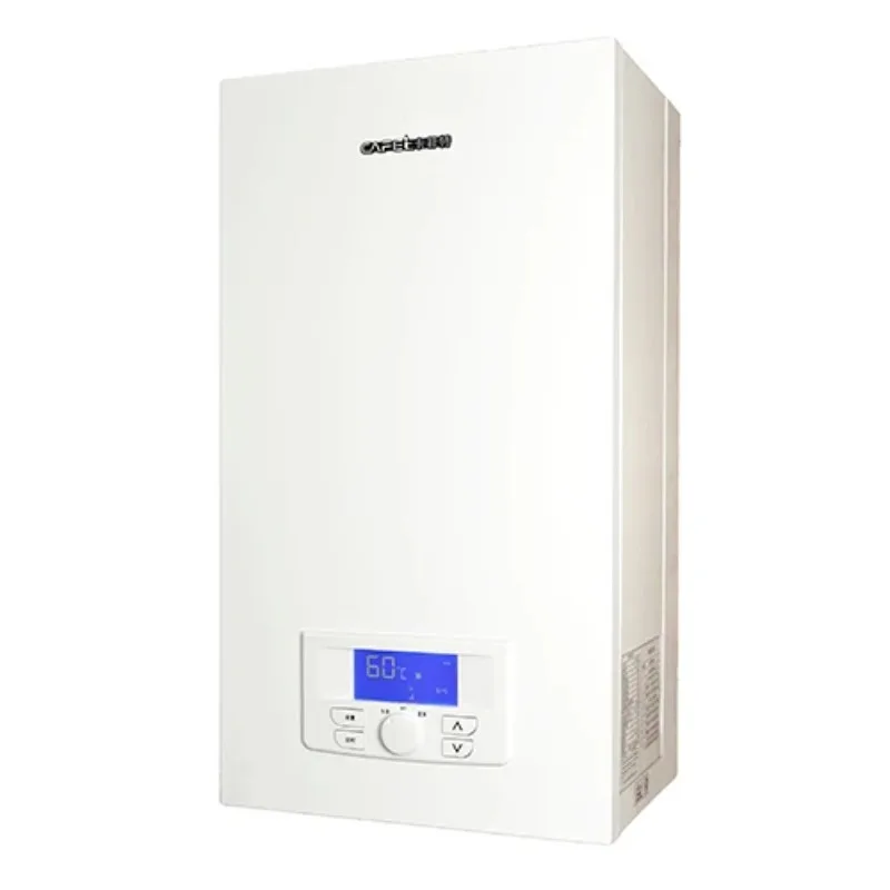 

Hotel Household Heating & Hot Water Wall Hung Condensing Gas Boiler