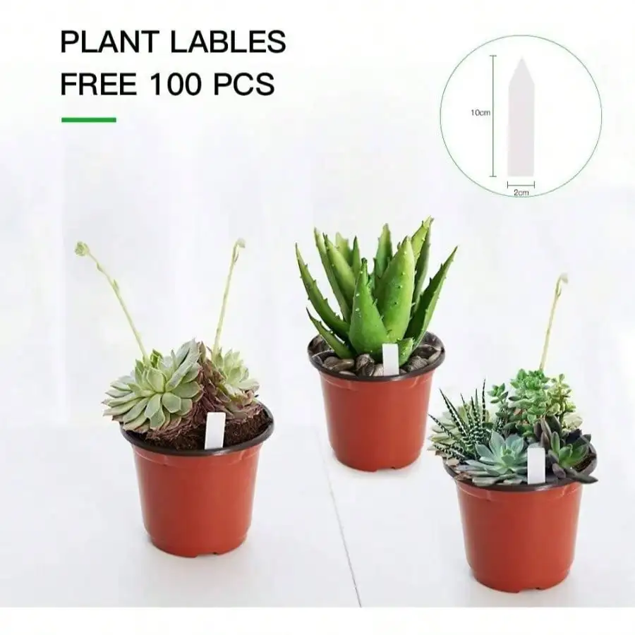- Pack 6 Inch Plastic Nursery Pots Come with Pcs Labels, Seedling Flower Plant Container and Seed Starting Pots