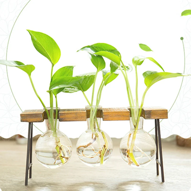 Hydroponic Transparent Glass Vases, Home Decor, Green Dill Plant Container, Small Fresh Office Desktop Decor, In Stock