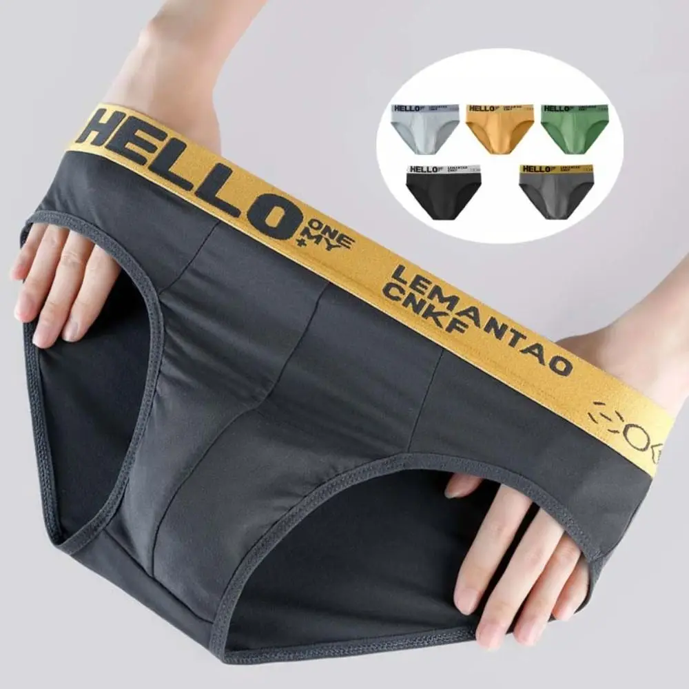 

5PCS Breathable Low Waist Men Thin Panties Male Lingerie Elastic Underwear for Men Briefs Letter Underpants Gifts