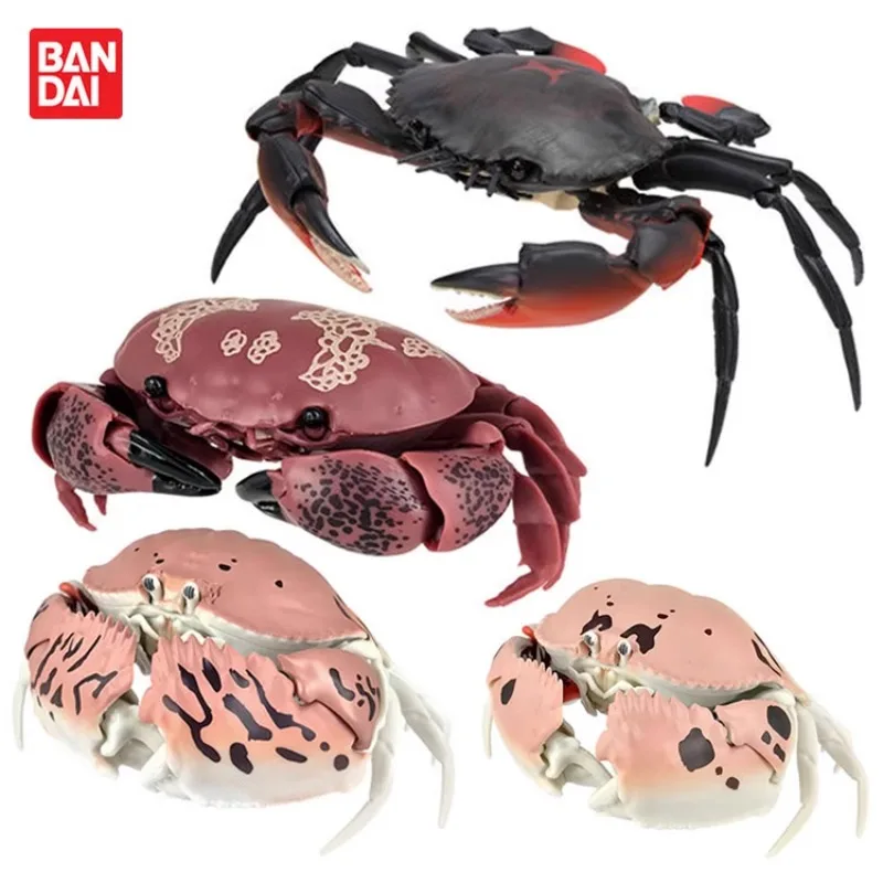 

Bandai Genuine Gashapon Simulated Animal Creature Series Swimming River Crab Steamed Bun Crab Movable Joint Pet Toy