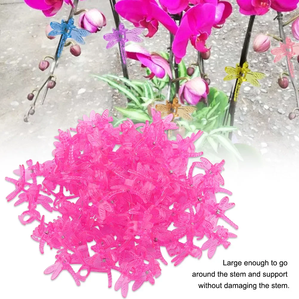 100pcs Garden Tools Stem Clips Grow Upright Orchid Plastic Mini Stalks Flower Plant Garden Rattan Dragonfly Shaped Orchid Clips