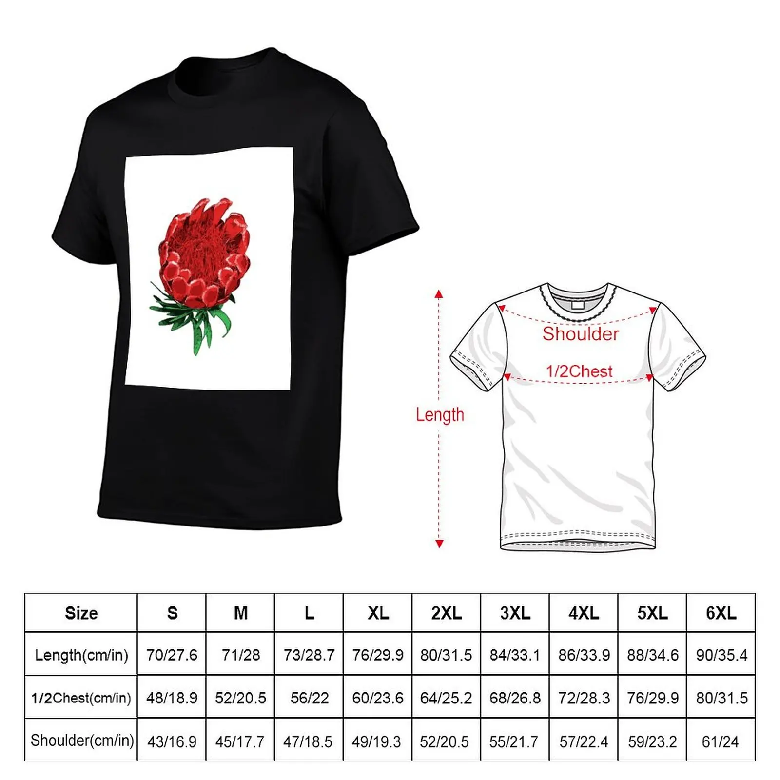 Beautiful Protea Illustration - Lovely Australian Native Flower T-Shirt Big Size Crew Neck T-Shirt