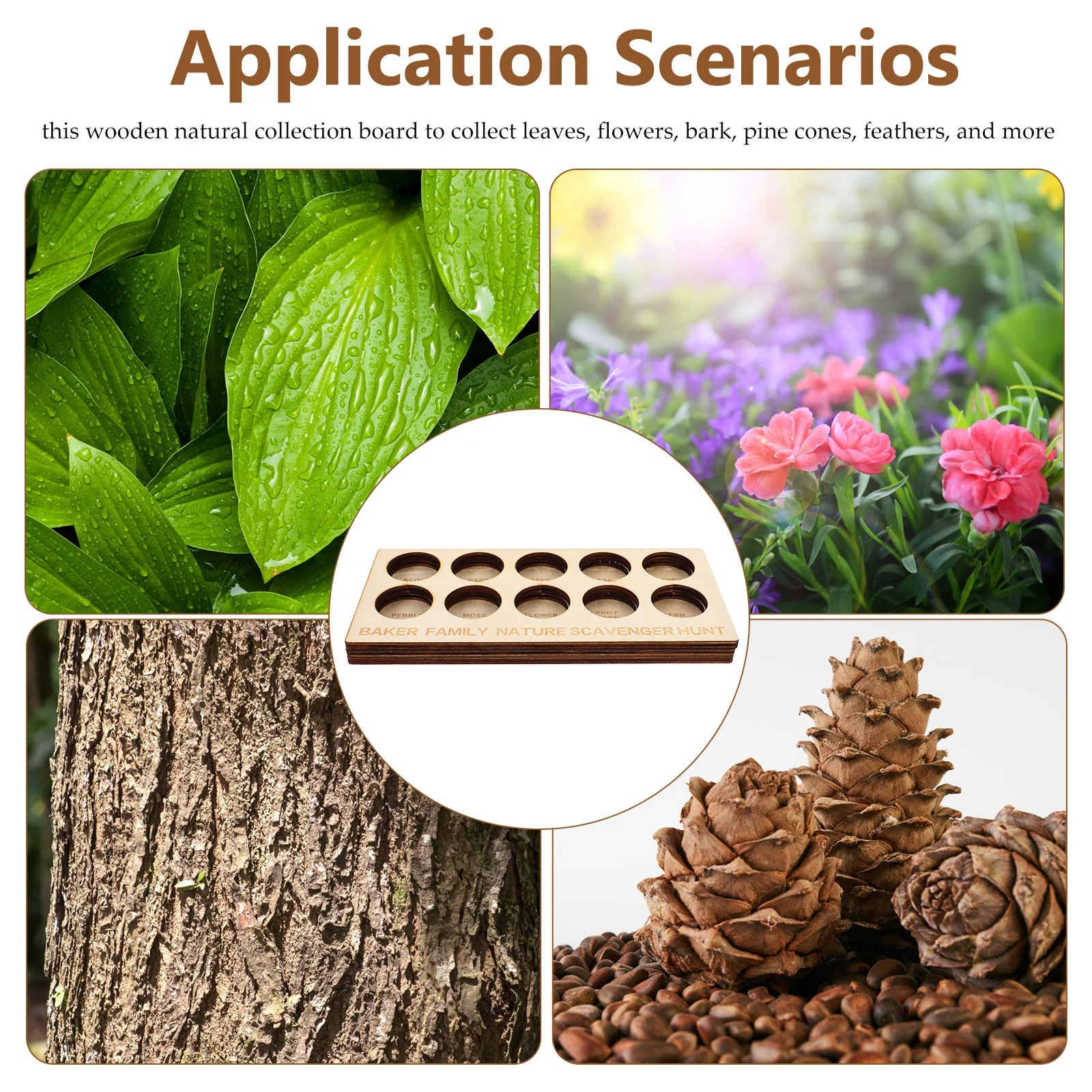 

Exploration Game Board Lightweight Wood Hunting Plant Board For Outdoor Nature Specimen Collection Kids Students Bio Experiment