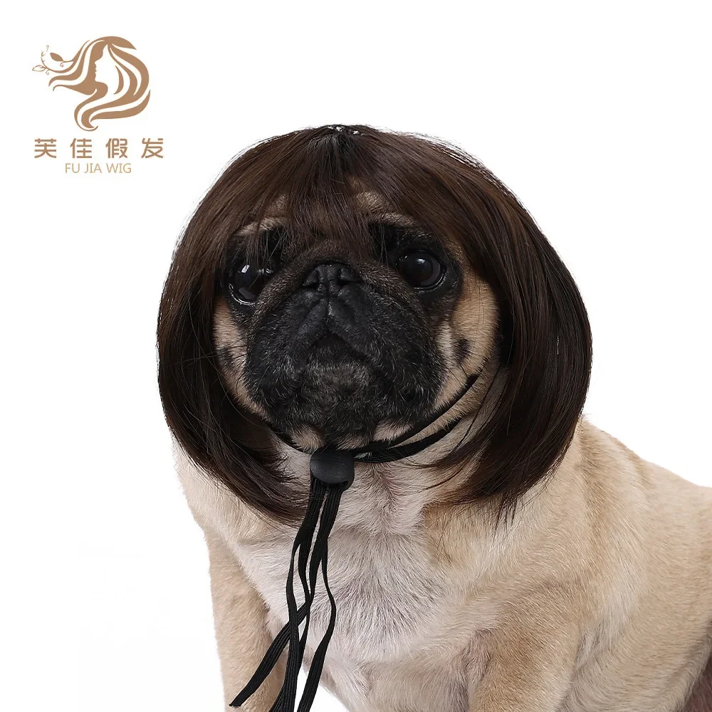 Pet wigs Dog wigs pet supplies Halloween pet accessories Curly hair Straight  Cat wigs