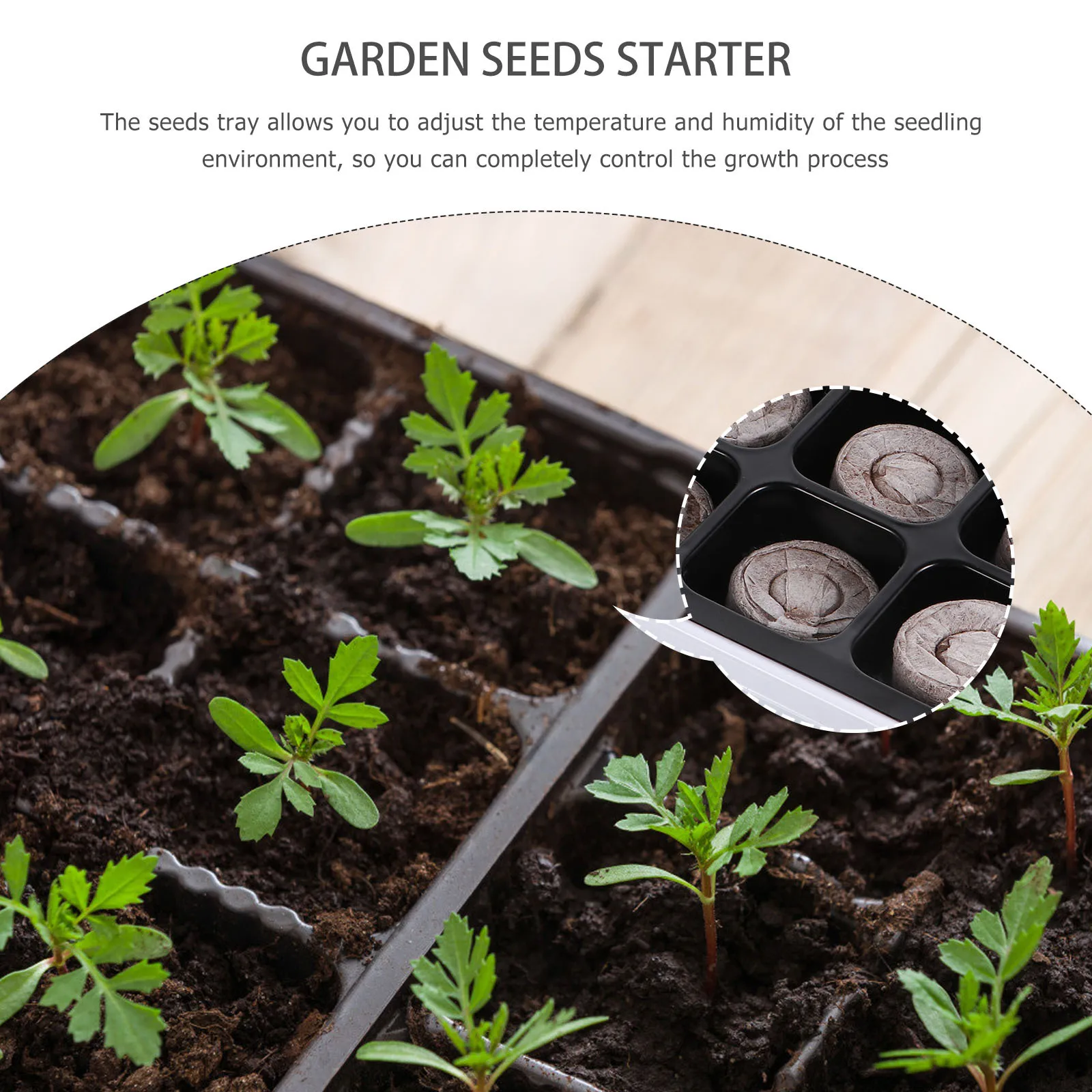 

12 шт., 1 комплект, лоток для проращивания сада, стартовый почвенный блок, контейнеры для посадки, многоразовая пробка для питательных веществ, лоток для выращивания детской комнаты
