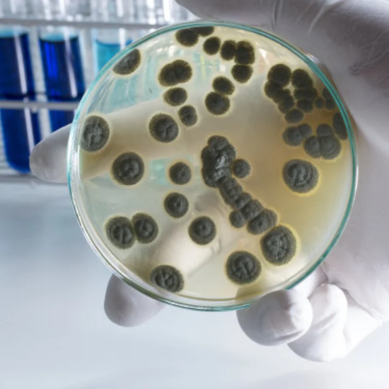 

4Pcs Set High Grip Hot Melt Tyres 25°30°35°40°45° Wheel 65*25mm for 1/10 Scale RC Racing Cars Upgrade Parts