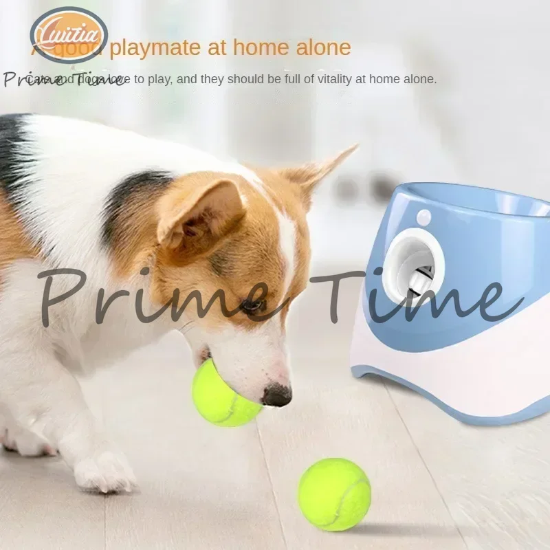 Automatic Pet Throw Jump Ball Dog Catapult Ball Launcher Dog Toy Bulldog Toy Tennis Machine Automatic Pet Throw