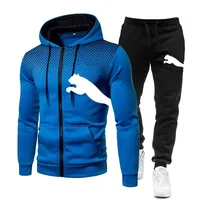 Ensemble sweat-shirt à capuche pour hommes, ensemble sweat-shirt à capuche + pantalon, vêtements de sport, de course et de loisirs, automne et hiver 2025 4