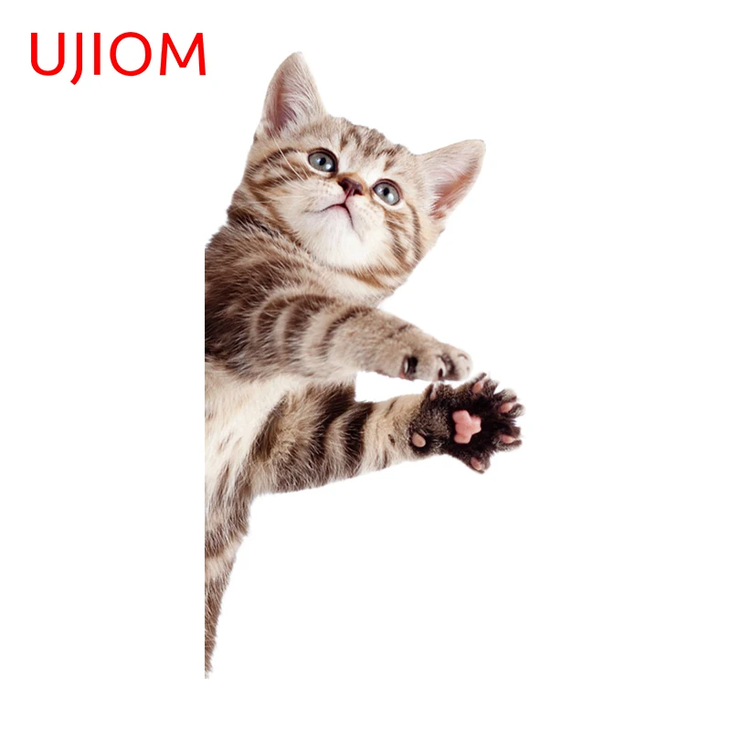 UJIOM 13cm X 6.7cm Pretty Cat Cartoon Peeker Wall Stickers Creativite Baby Nursery Room Decal Amusing Decoration Chambre