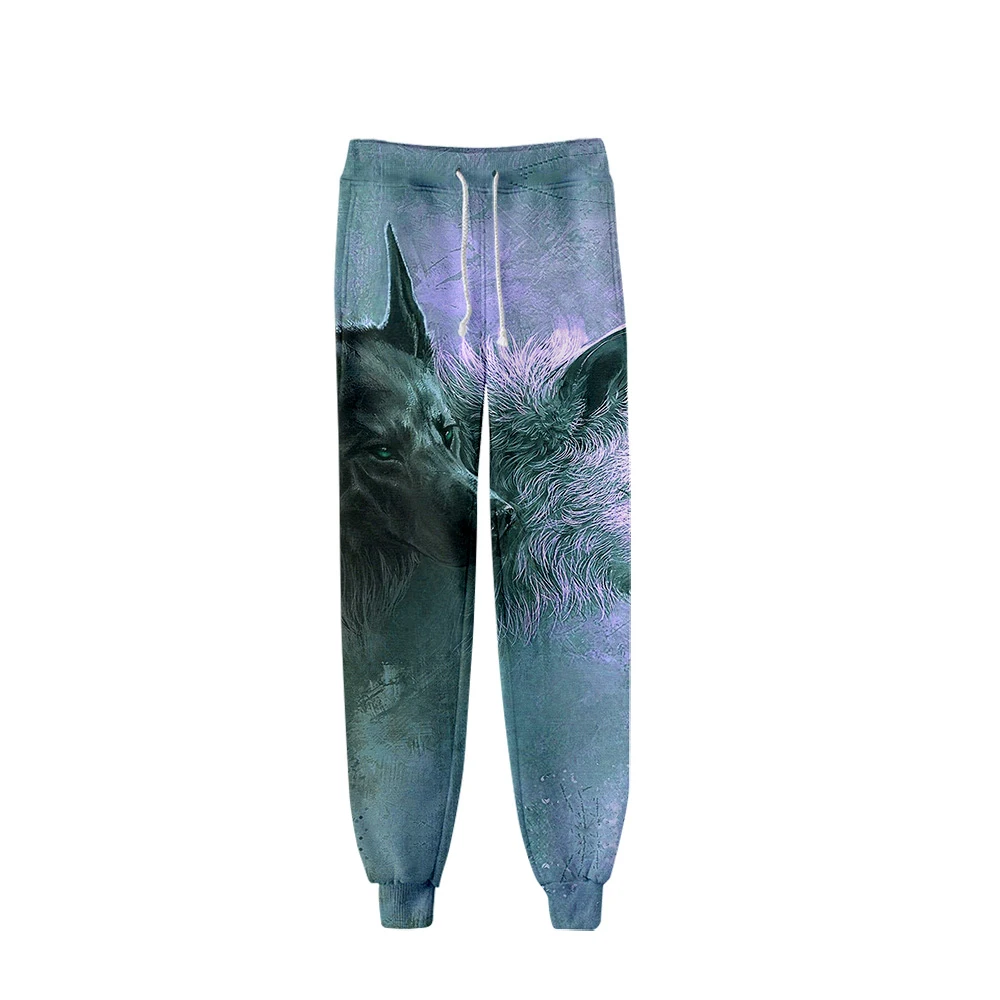 Pantalon de survêtement baggy animaux de loup pour hommes, survêtement Hip Hop, jogging de piste, Streetwear, vêtements de sport 3D, mode