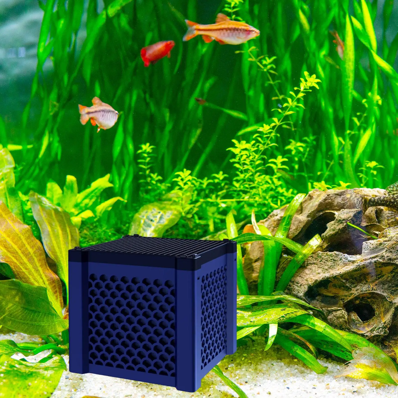 Aquarium Filtration Storage Box Versatile for Fish Tanks Aquarium Cleaning Accs