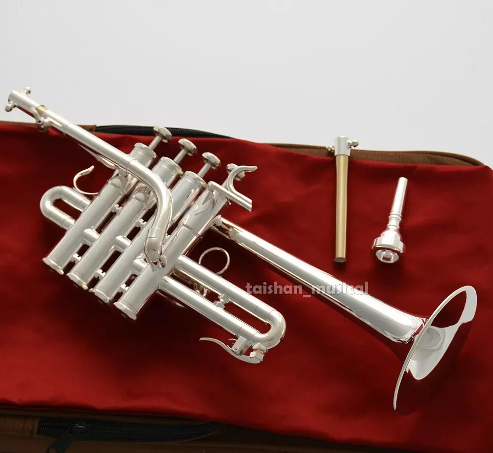 2026 New Profession… - image