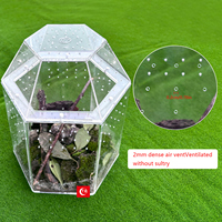 Jumping Spider Enclosure Full Transparency Reptile Breeding Box All-Side Ventilation Mini Tarantula Enclosure for Spider, Lizard