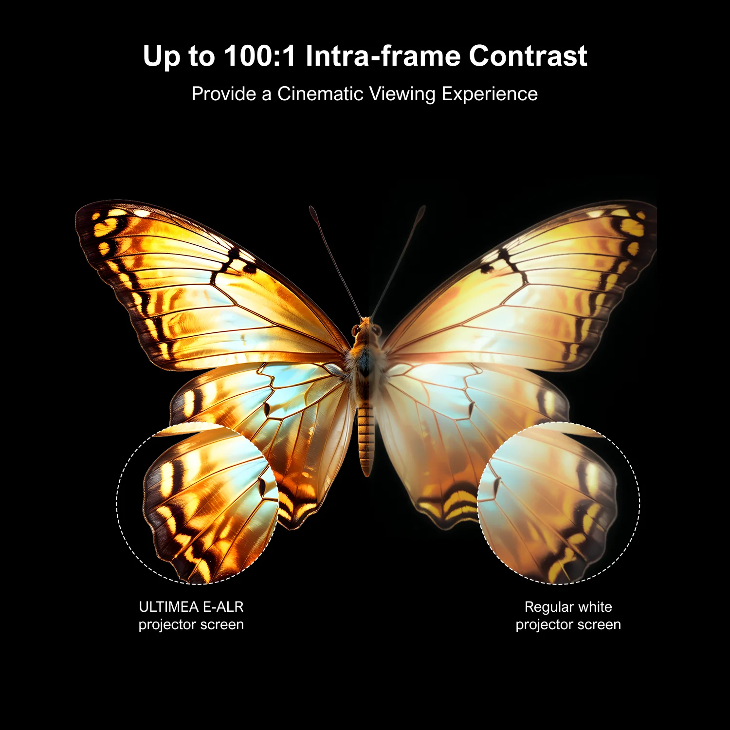 Écran de projection ULTIMEA E- - Home Cinema Ultimea avis et prix