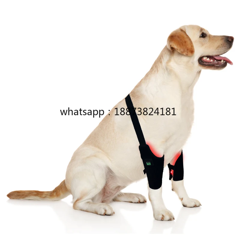 

Wholesale Price Infrared Light Therapy Pad for Dogs Health Care- High Quality Pet Rehabilitation Supplier