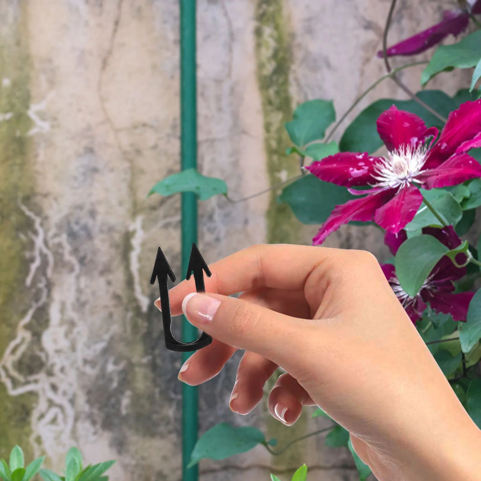 

200Pcs Plant Vine Fixing Clip Sturdy Portable Gardening Tool Watermelon Strawberry Vines Plant Vine Fixing Clip