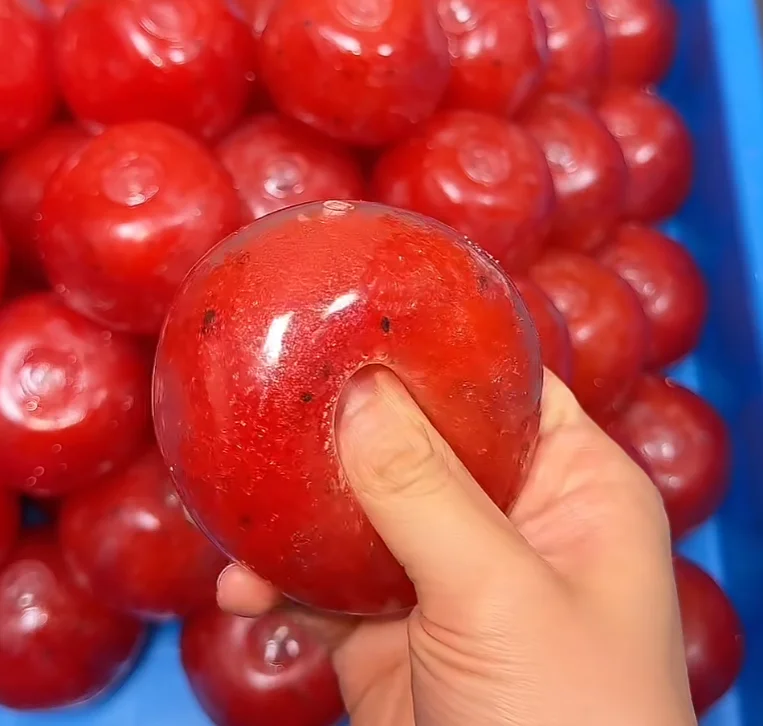 Simulation Red Plum Squeeze Toy Realistic Seed Spot Texture Squishy Fidget Toy Super Soft Stretchy ASMR Sensory Toy Stress
