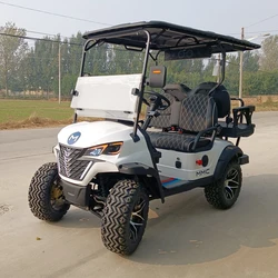 2024 New Style 48V 60V 72V Club Car Solar Panels Battery Operated Golf Buggy 2 4 6 8 Seats Electric Golf Carts