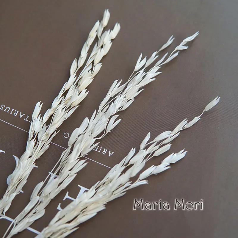 5 جرام/Broomcorn مصبوغ الزهور الطبيعية المجففة ابيض اليدوية DIY المواد الراتنج الايبوكسي الغراء الروائح الشموع الزهور