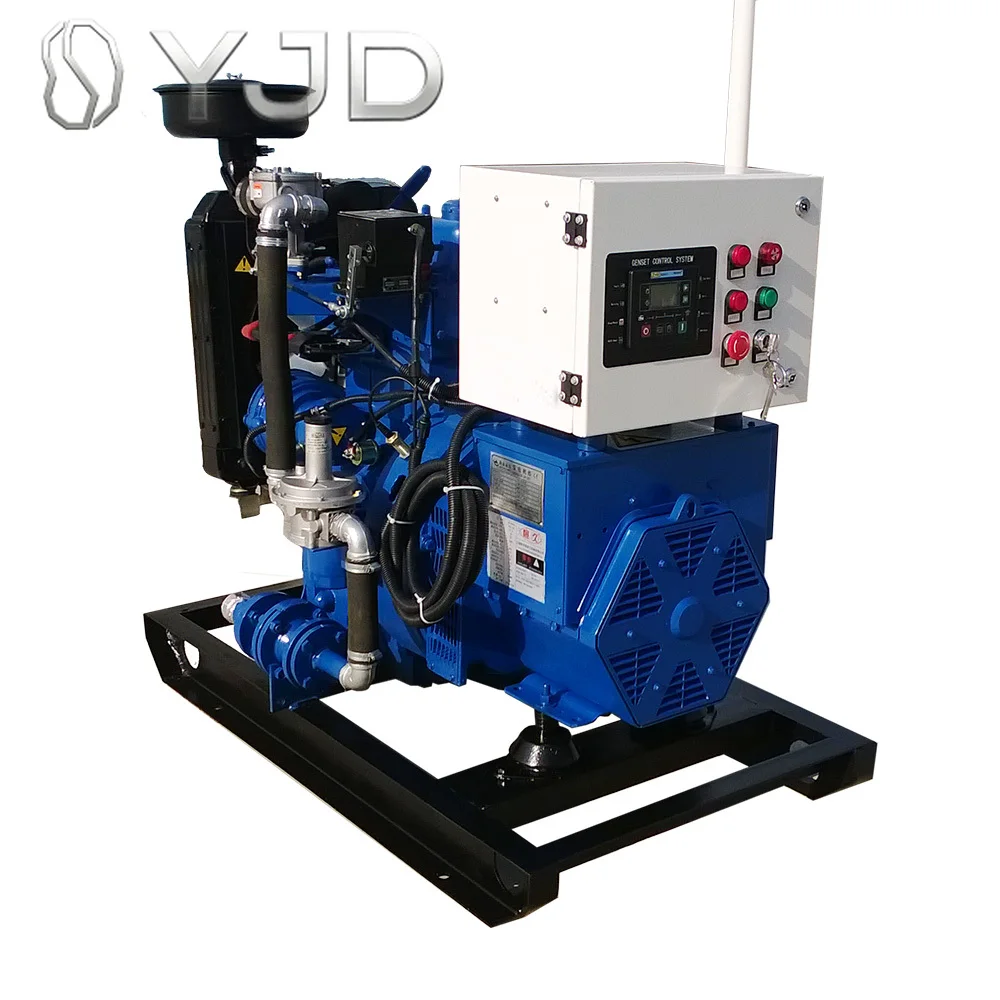 10kw 20kw 30kw 40kw 50kw Clean Energy Cogeneration Natural Methane Standby  Natural Biogas Lpg Gas Generator Set