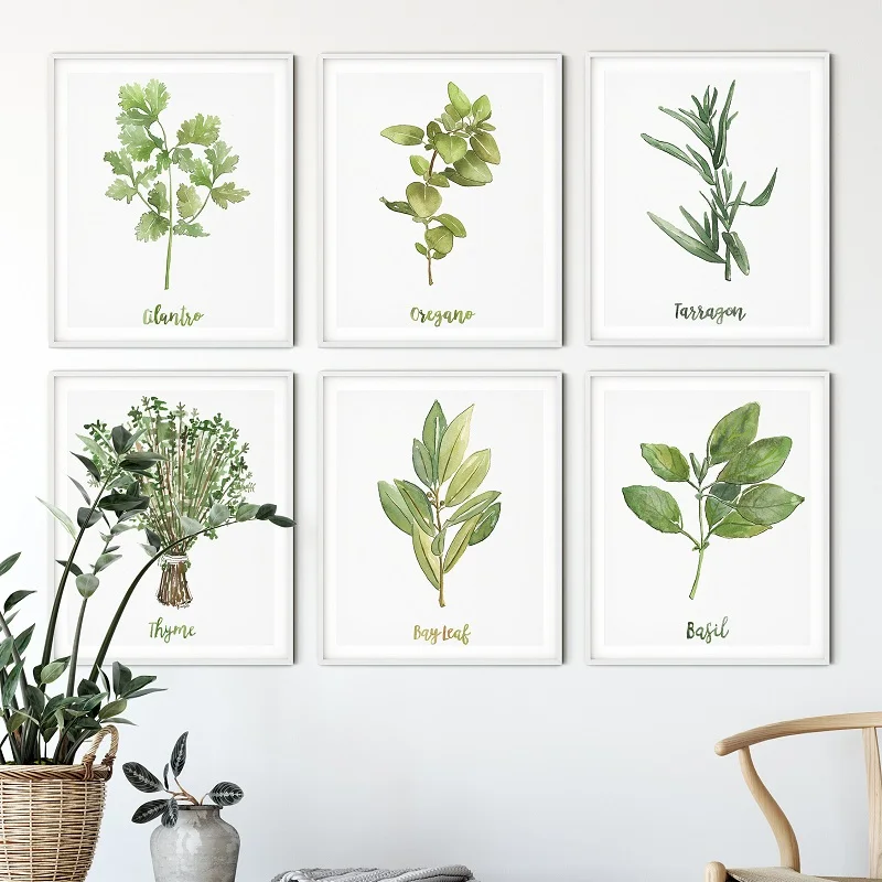 Piante di erbe ad acquerello poster e stampe botaniche verdi su tela pittura Wall Art Picture for coriandolo Kitchen Herbs Home Decor