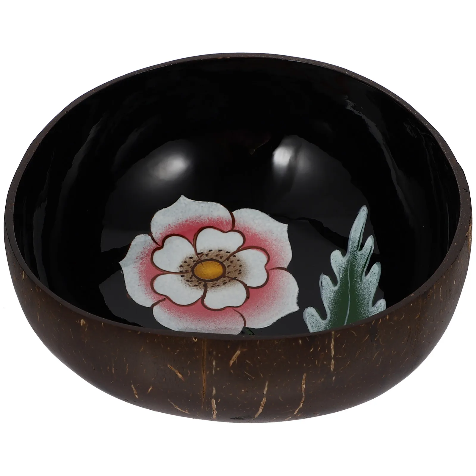 Household Coconut Shell Bowl Hand-Painted Creative Pattern Multi-Functional Sundries Organizer Desktop Decoration
