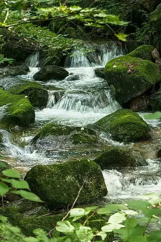 Isdt Battgo BG-8S B…