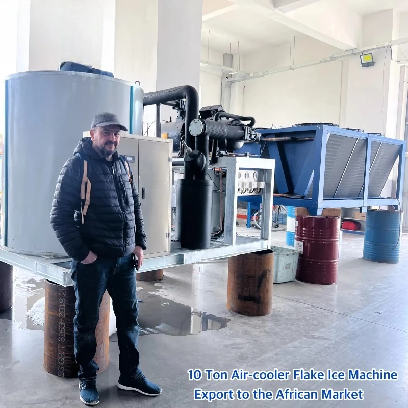 Customized snow flake ice machine crushed ice maker commercial stainless steel 0.3 to 50 ton daily adjustable ice output