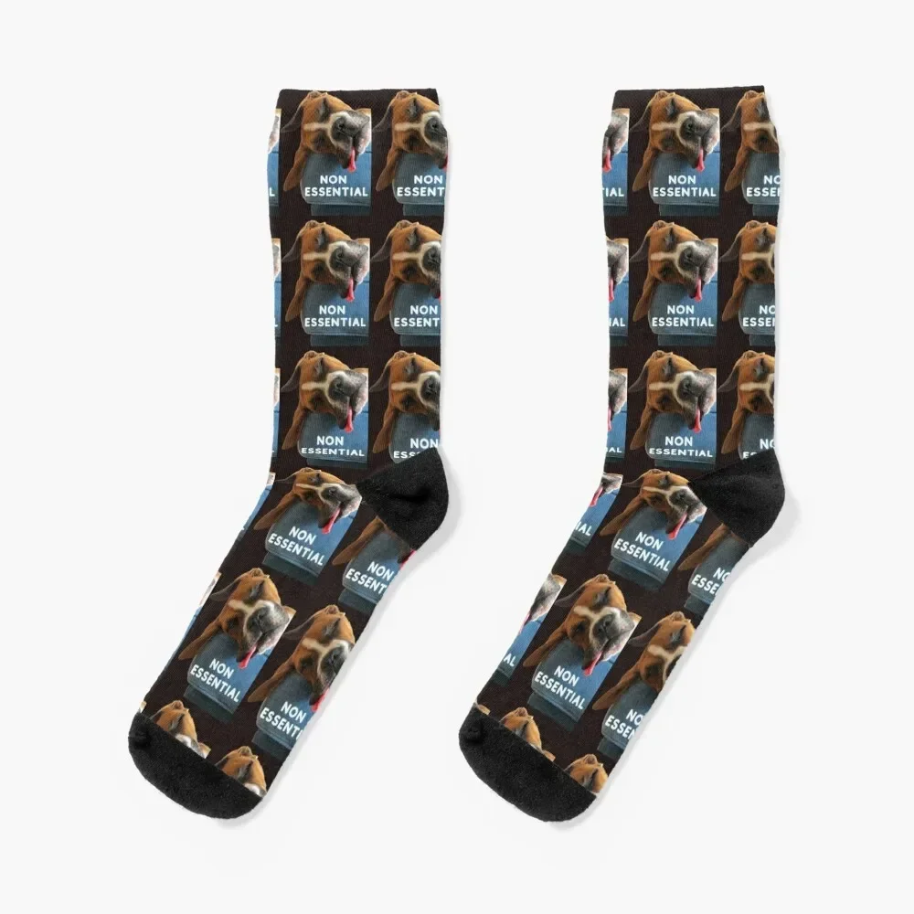 

Non Essential Dog Socks new year hiking cycling Boy Child Socks Women's