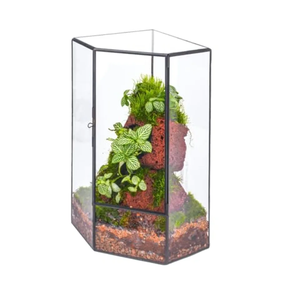 

Wall Corner Geometric Glass Terrarium for Indoor Decor, Black Glass, Front Opening Door, Succulent Planter and Tabletop Landsca