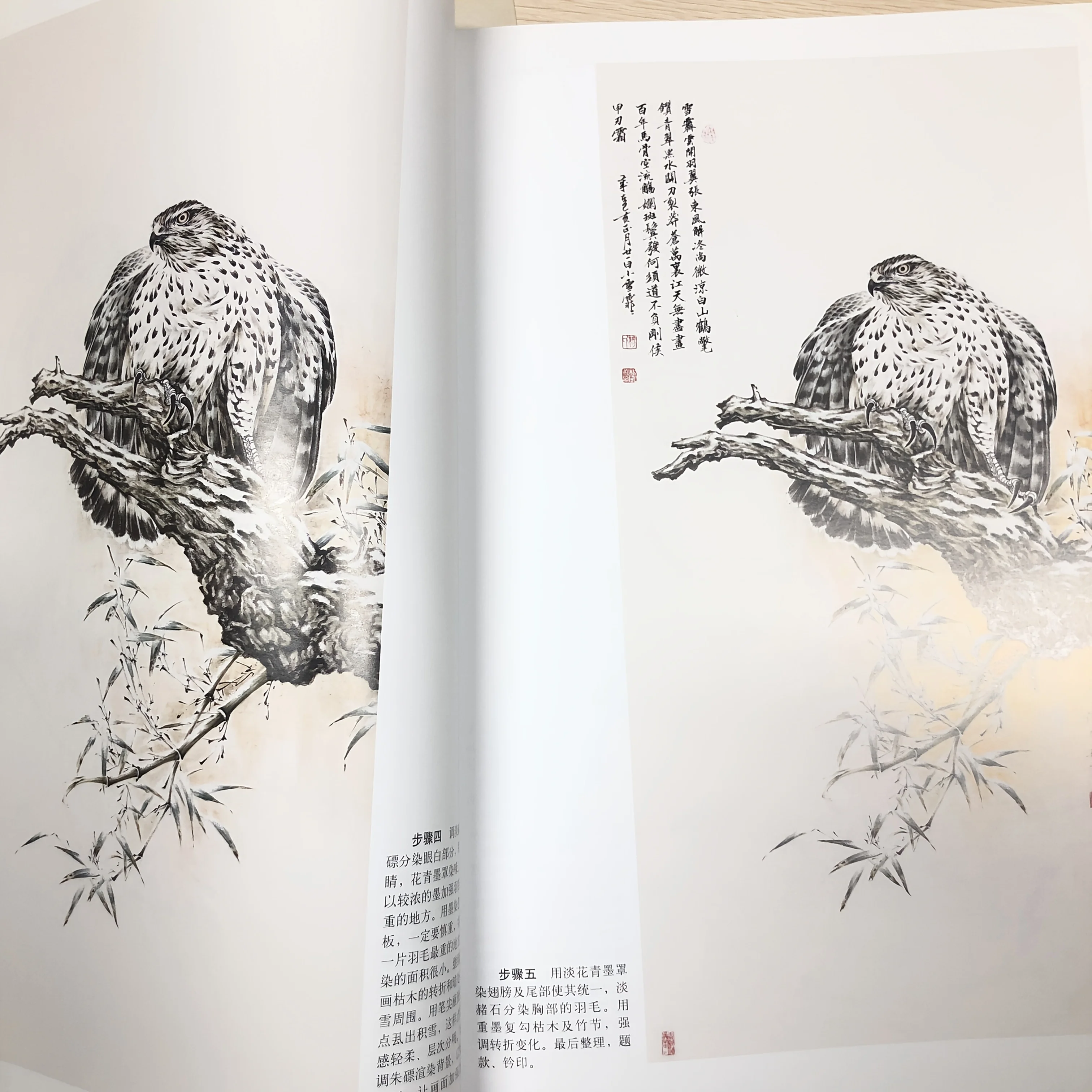 Техники рисования Raptor: Gongbi Eagle Eye & Talon Detailing Masterclass