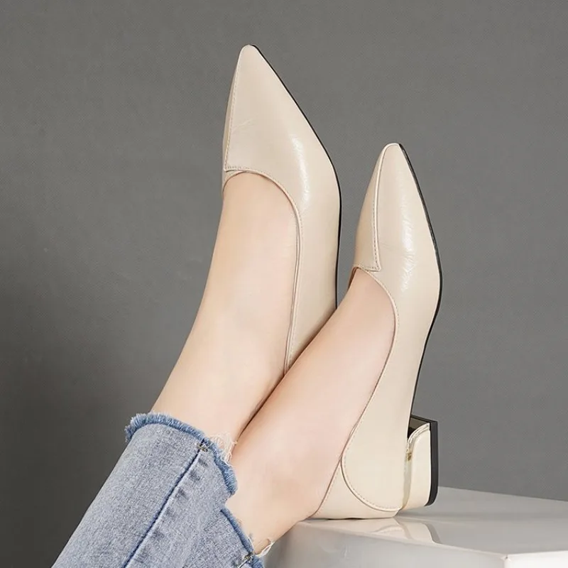 2026 Frühling und Herbst Neue Spitze Pumps für Damen mit Dickem Absatz und Flachem Schaft Professionelle Allround-Damenschuhe – Detail 3