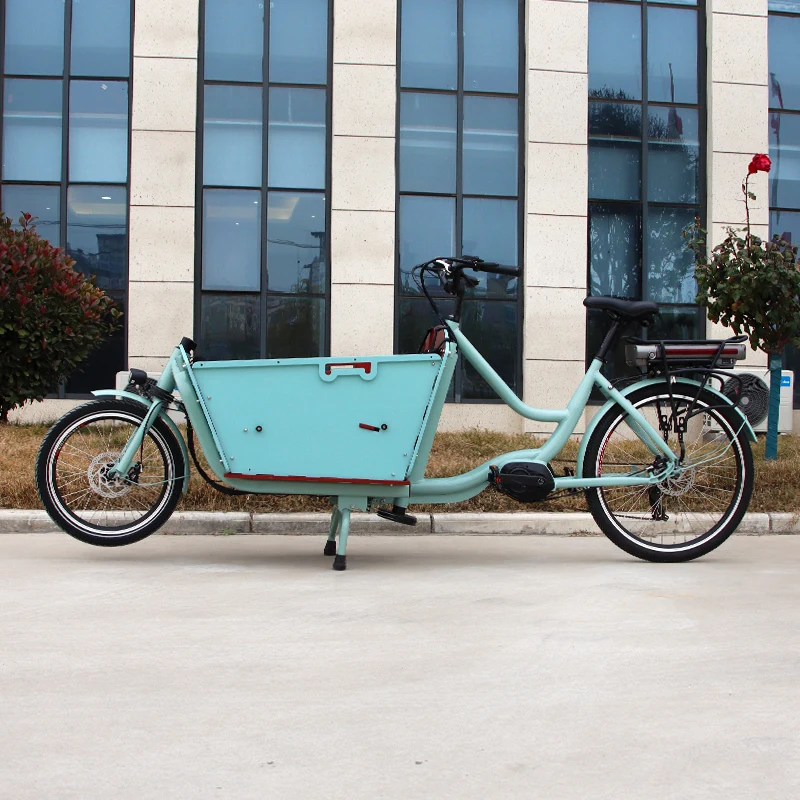 New Design 2 Wheel Cargo Bicycle Green Long John Transport Bike For Transport Children/Delivery Goods Can Customized Color