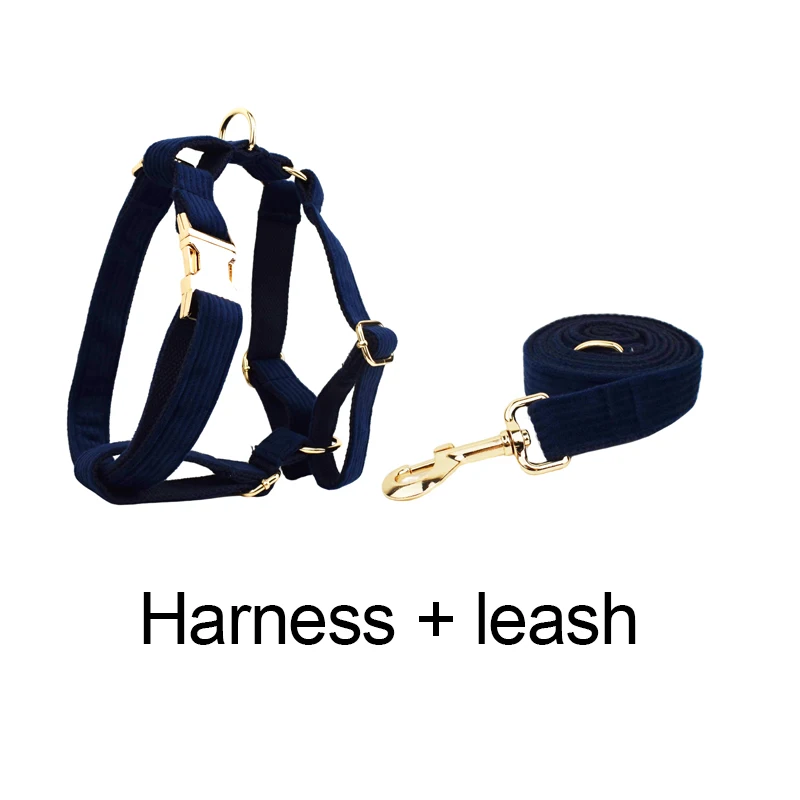 Set de collar y correa para perro en pana con placa grabada_voghion.com