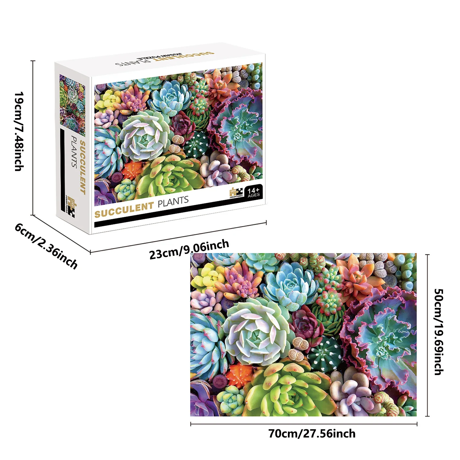 1000 Pieces Succulent Plants Jigsaw Puzzle Home Decor Adults Puzzle Games Family Fun Floor Puzzles Educational Toys for Kids