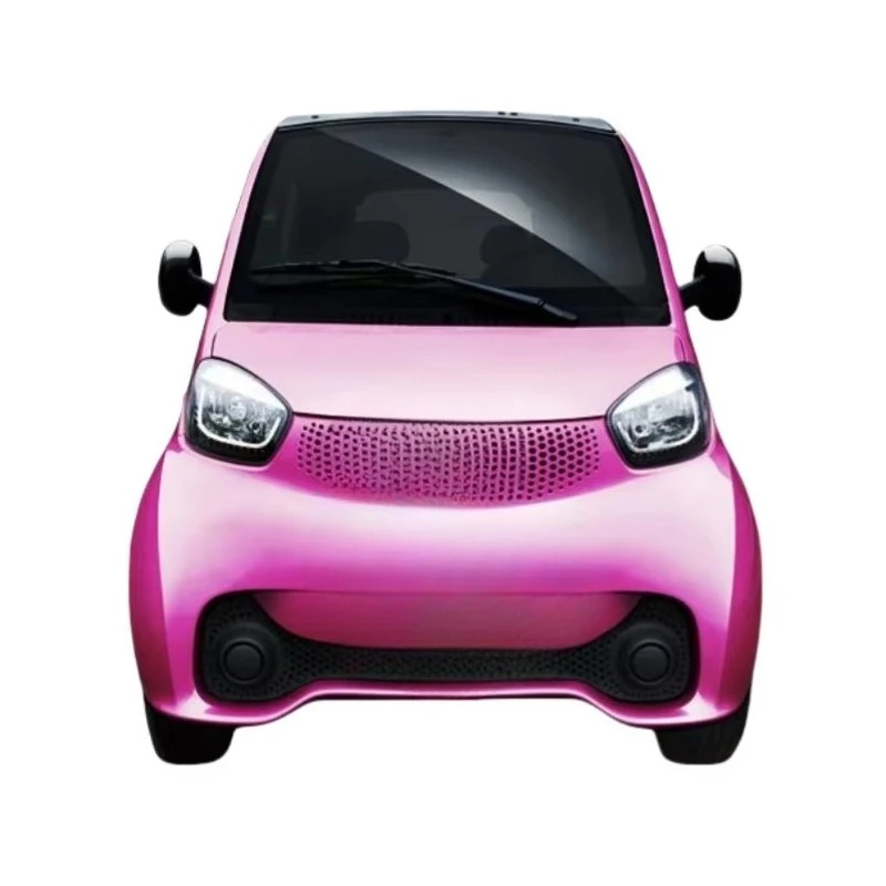 Slow car old man Le 2-seat electric mini car old man Le