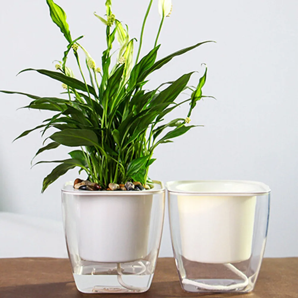 

Clear Planter Pots with Drainage Fully Transparent Flower Indoor Self-watering White