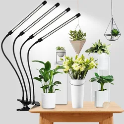Lámpara de crecimiento de plantas DC5V/12V LED, sincronización de abrazadera, luz solar de espectro completo, lámpara adicional para plántulas de hierbas suculentas