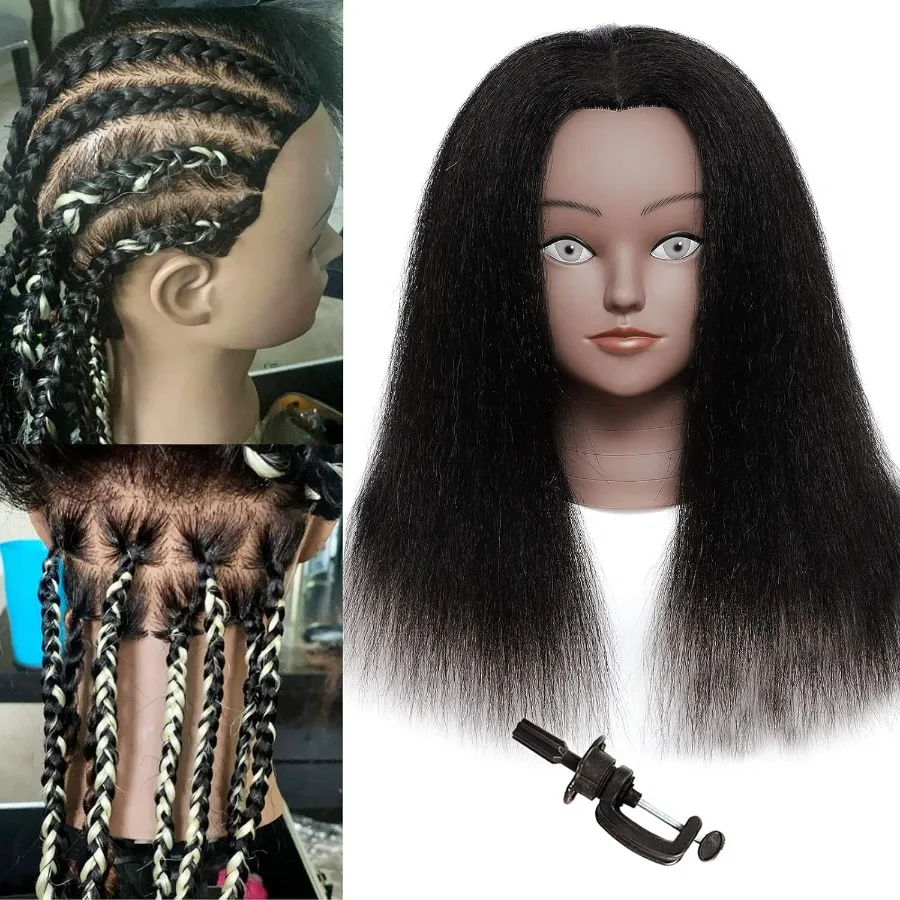 رأس عارضة أزياء احترافية مقاس 14 بوصة مع 100 شعر بشري حقيقي لتدريبات الصالونات وتضفير وتدريبات القطع مجانًا